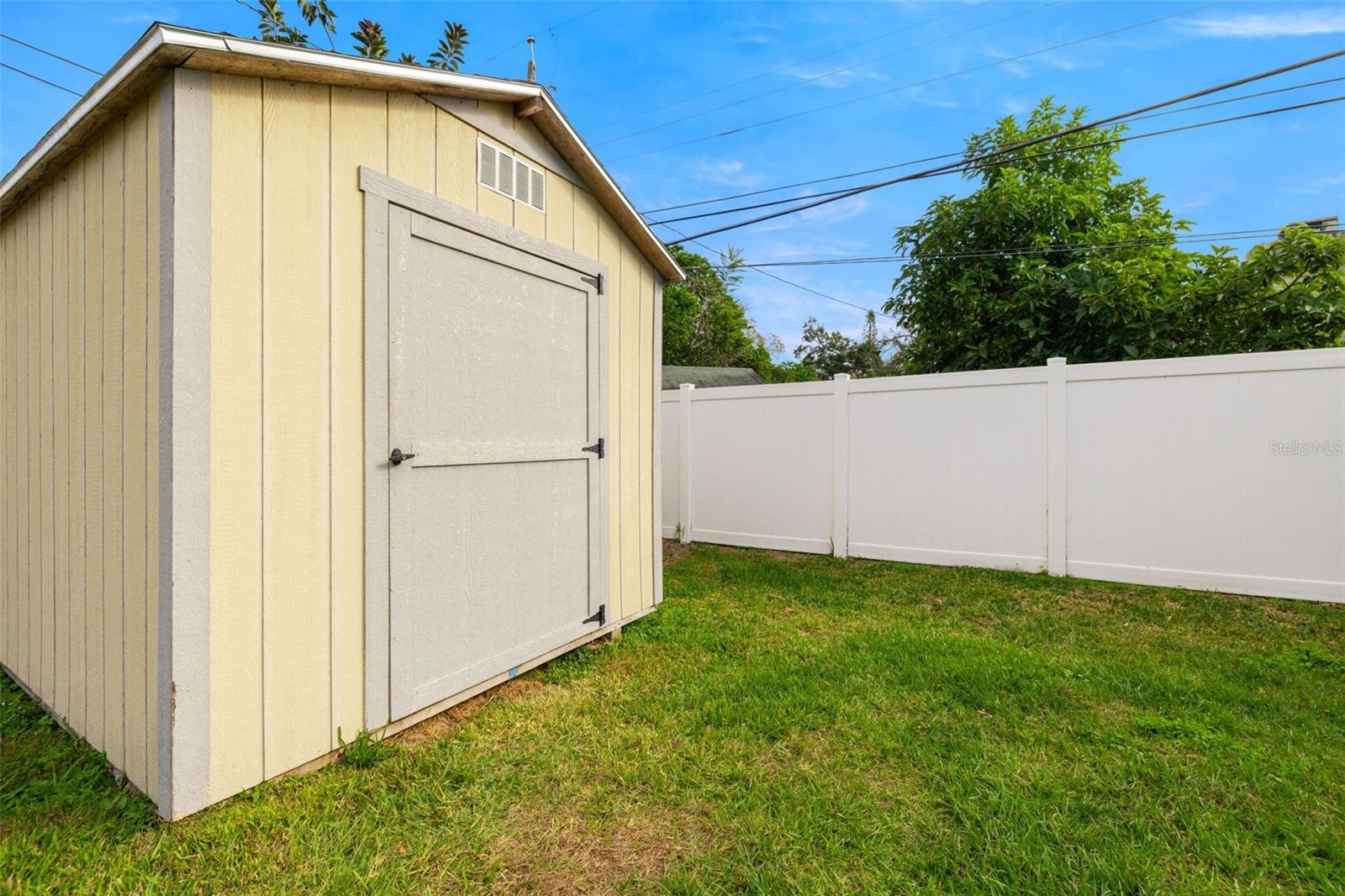 Backyard / Shed
