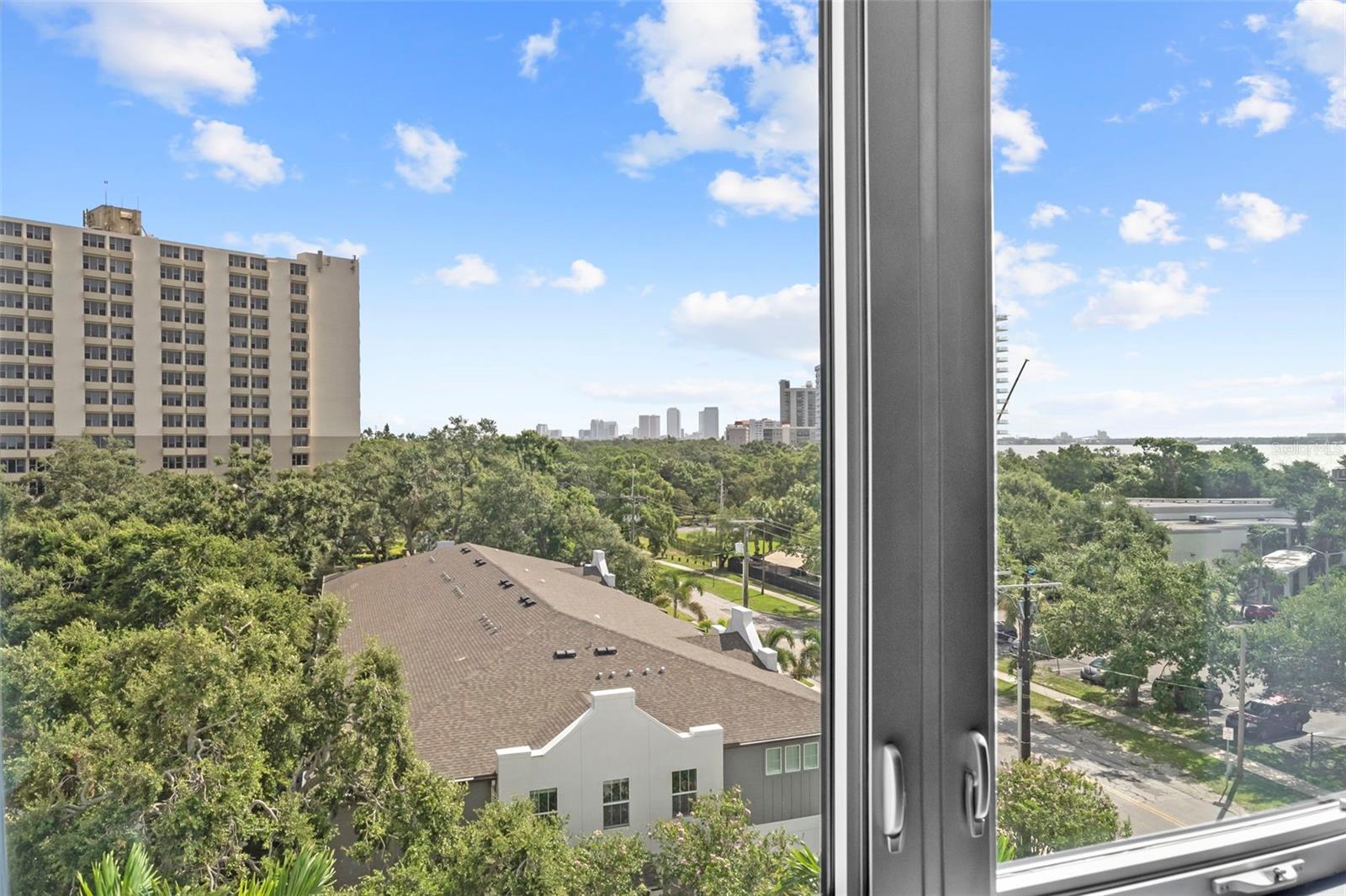 North side views from unit