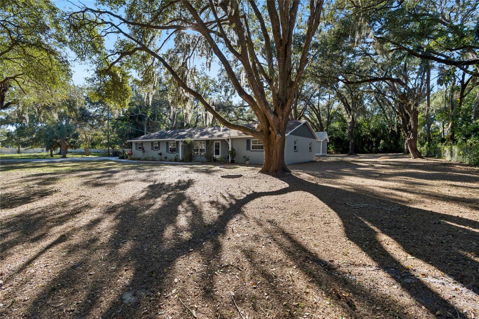 Large Oversized Yard