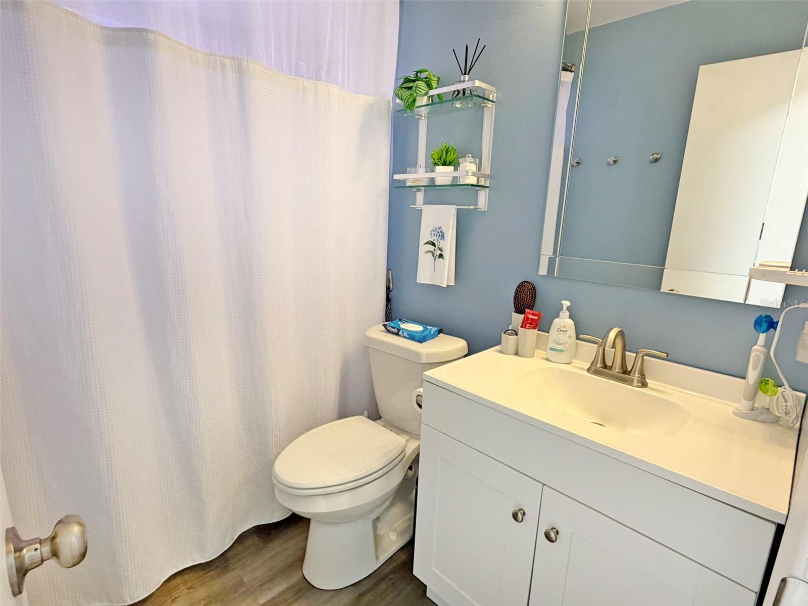 Guest Bathroom