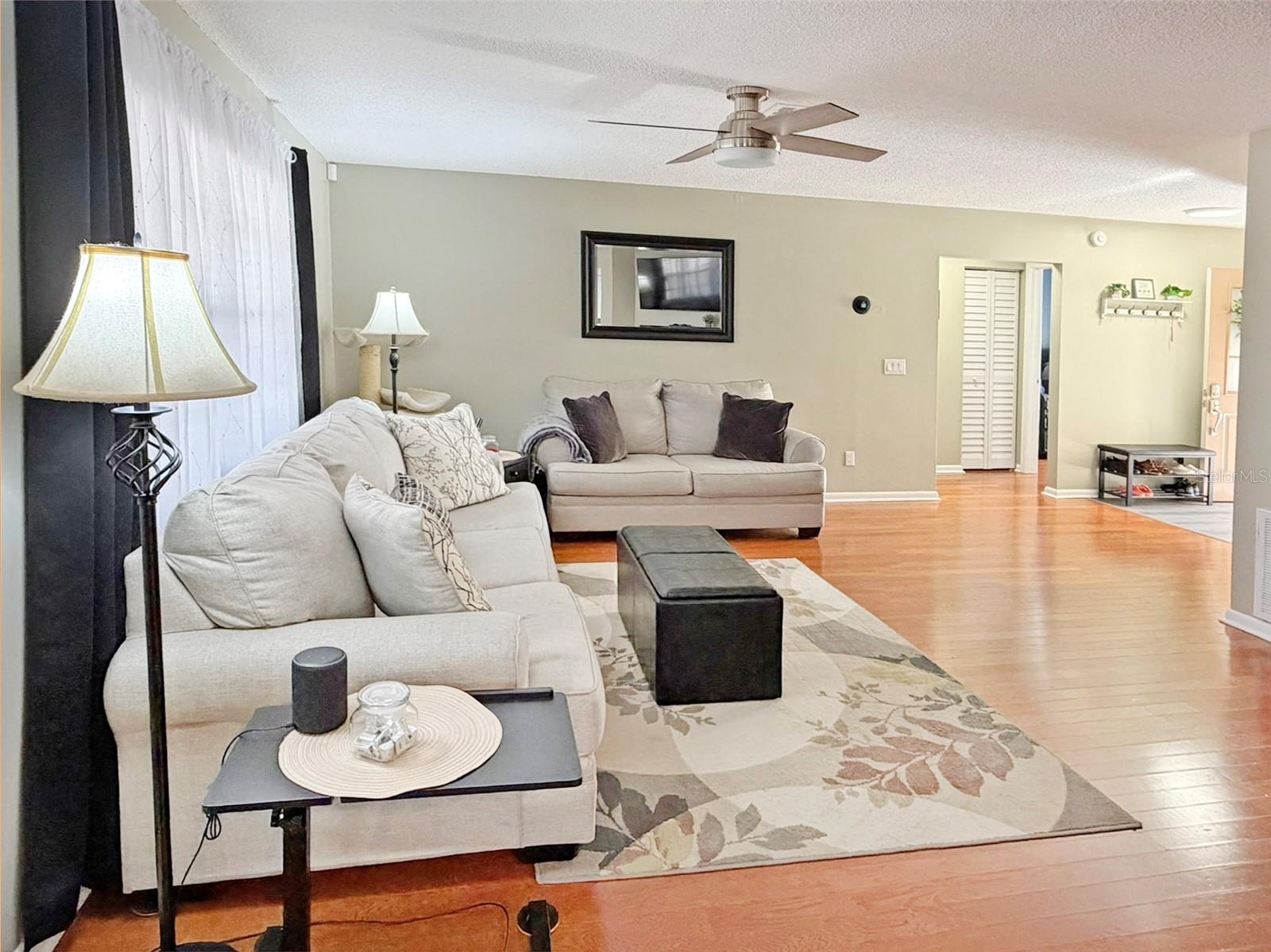 Spacious Living Room