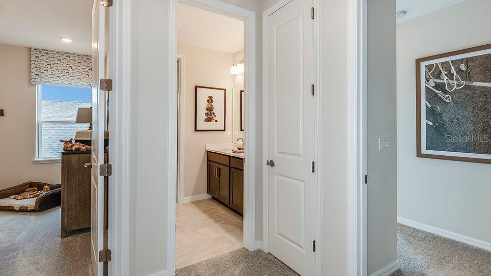 Representative Photo