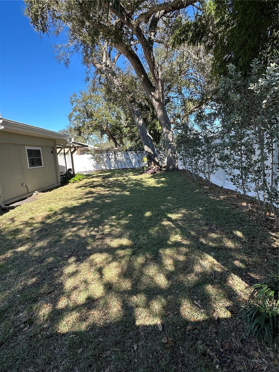 Huge back yard w/room for a pool!