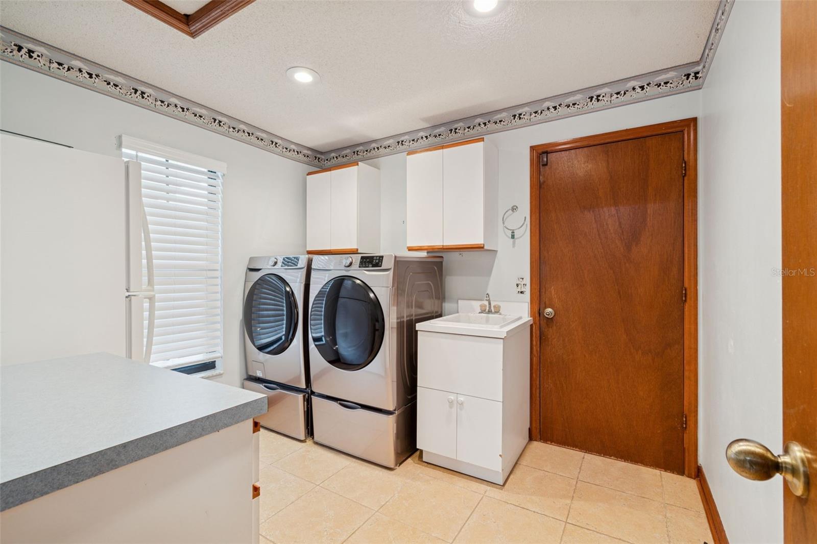 Laundry room with extra fridge and storage