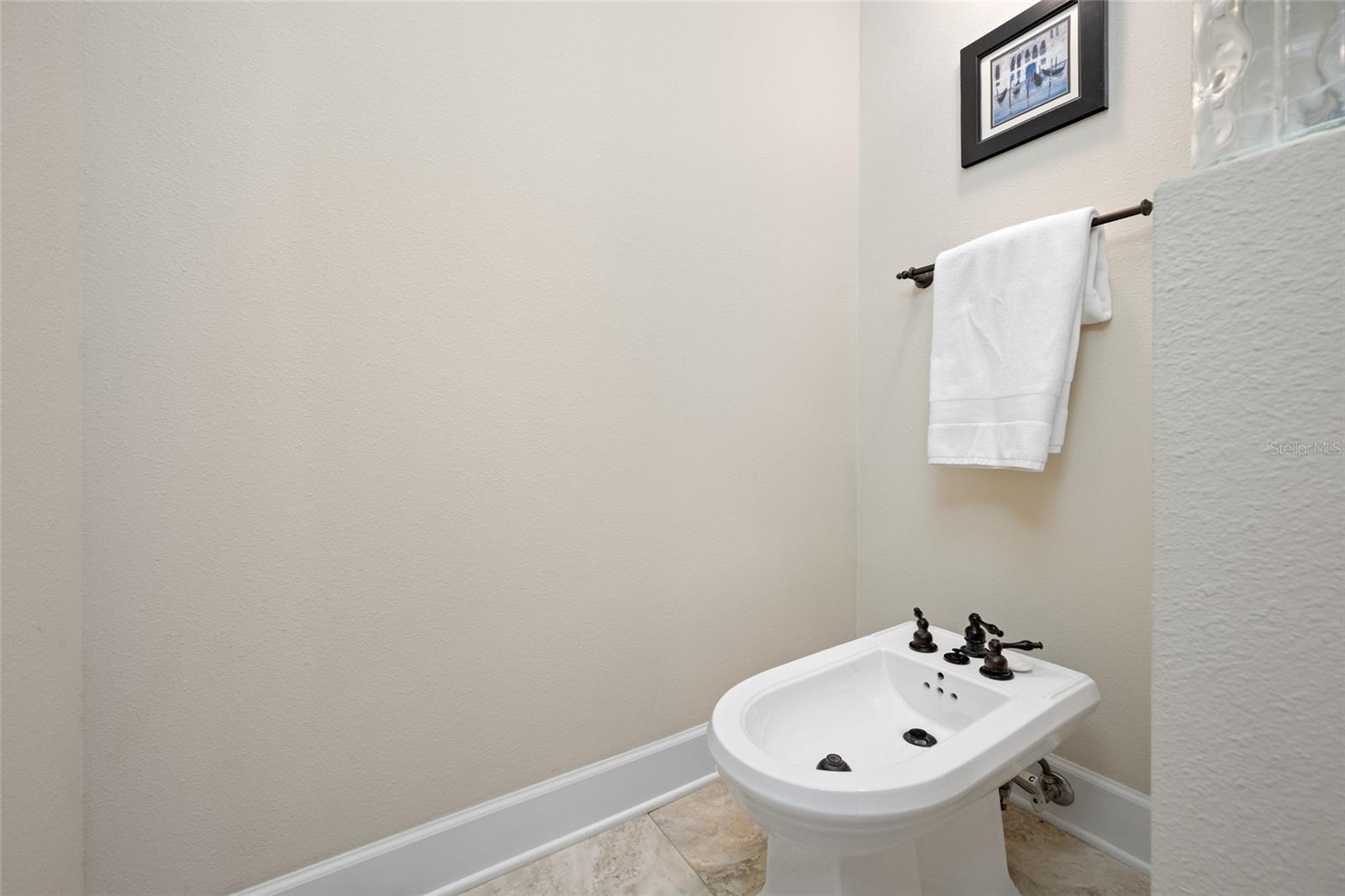 Bidet in Primary Bathroom #1