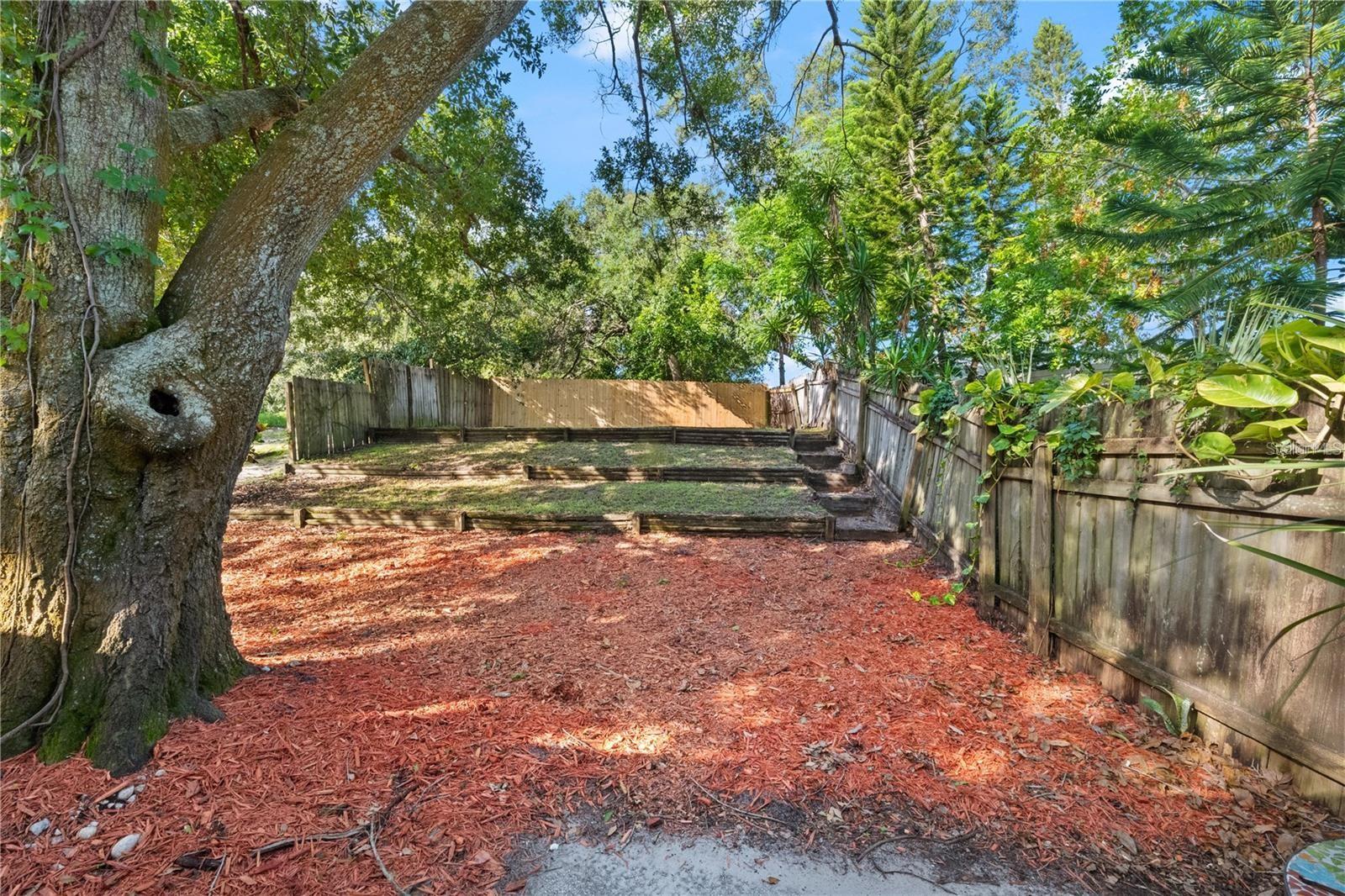 Tiered back lawn design