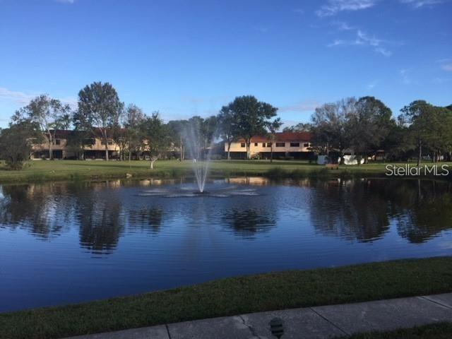 The is the pond behind the building.