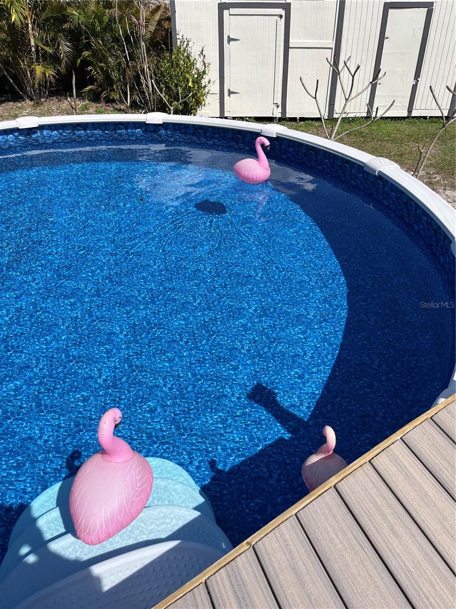 Cool off in the pool