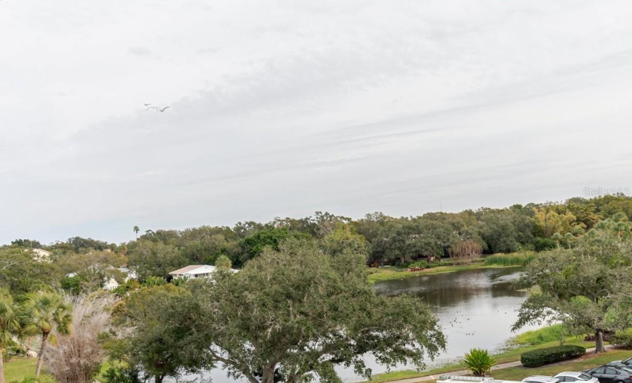 Beautiful Harlod Lake