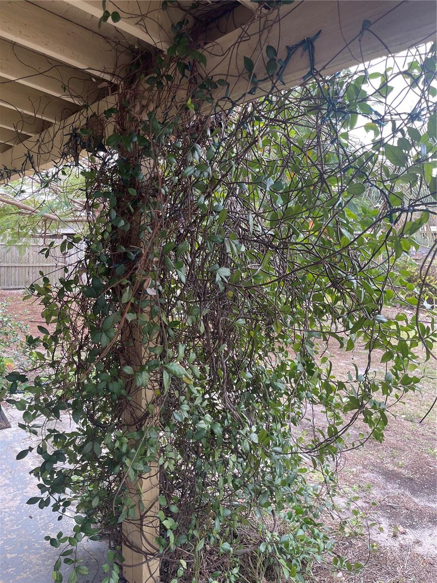 Jasmine-wrapped posts