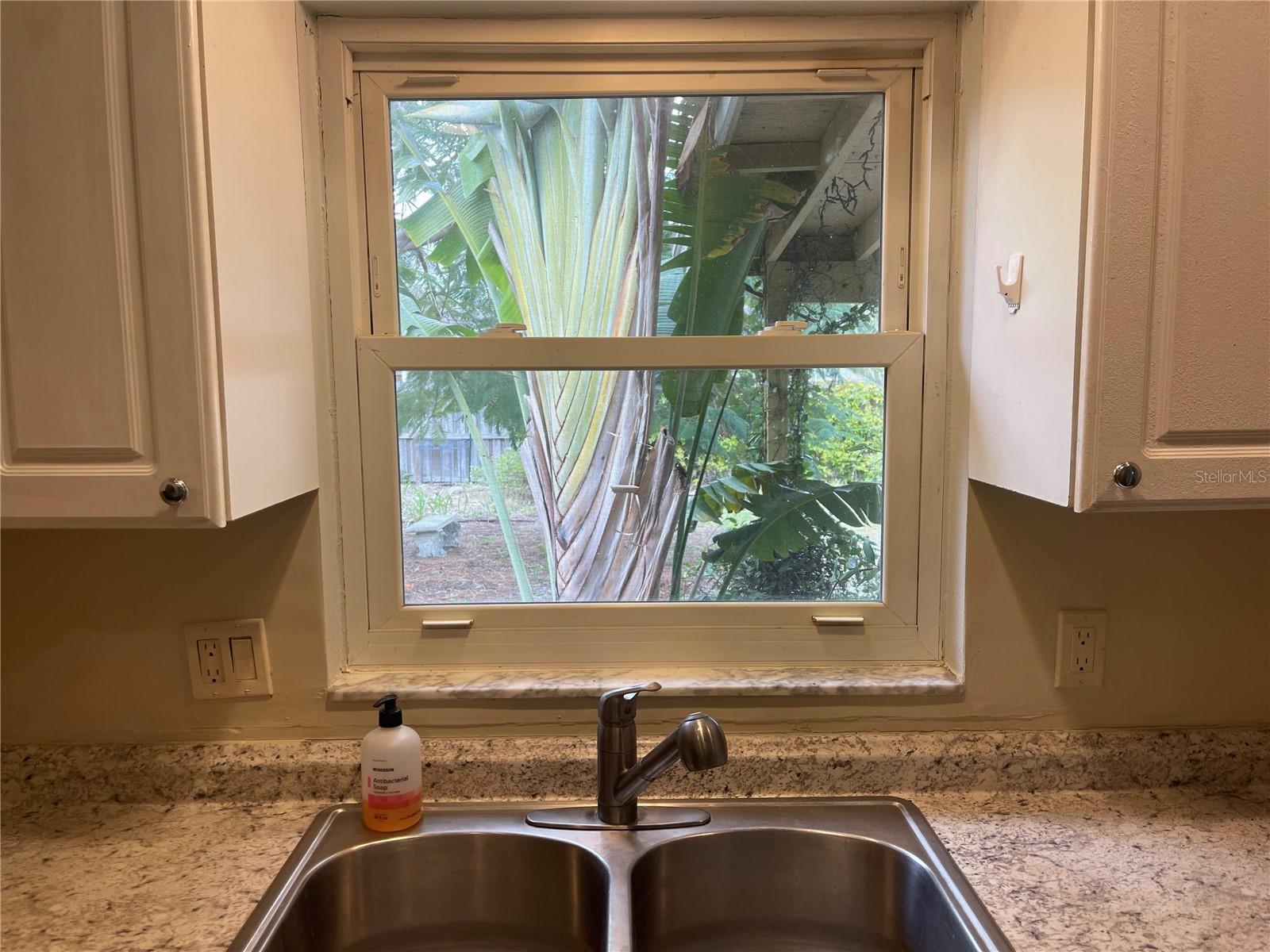 View from Kitchen Sink