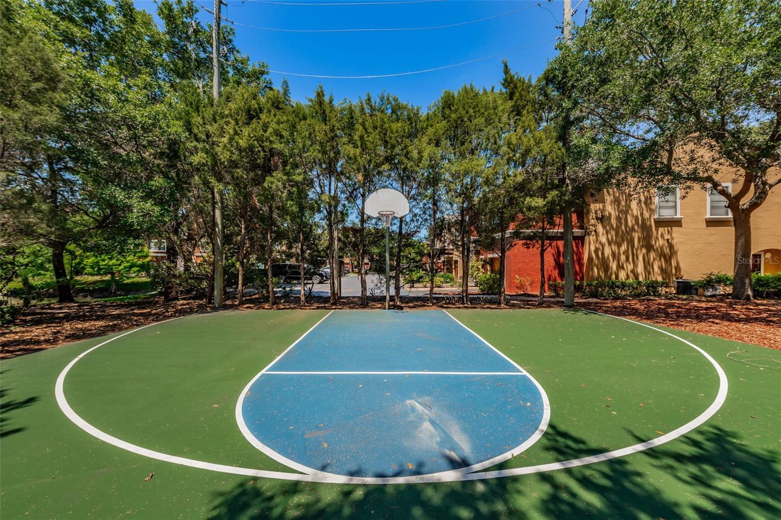 BASKETBALL COURT