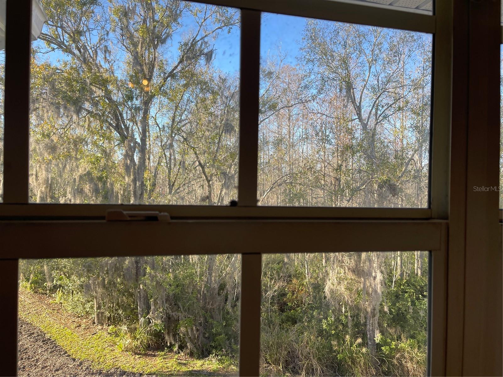 View from dining room window