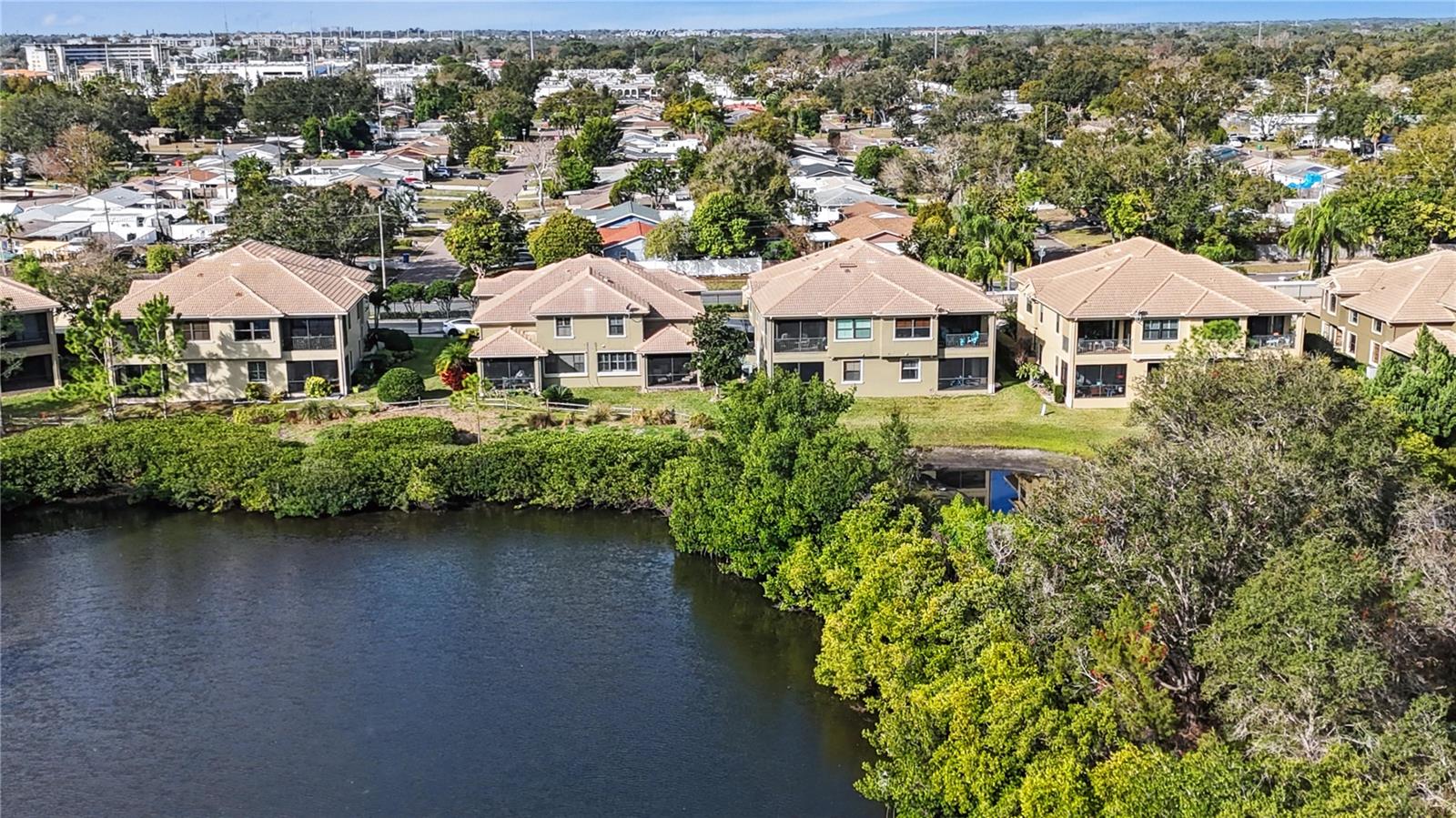 House Rear / Backyard View