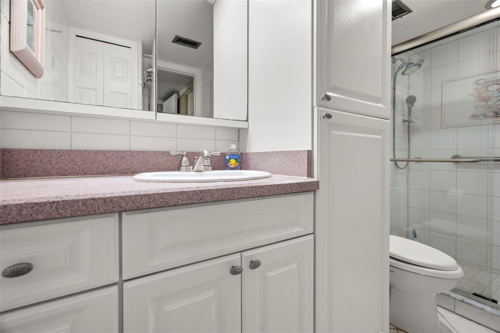 Updated Primary Bathroom