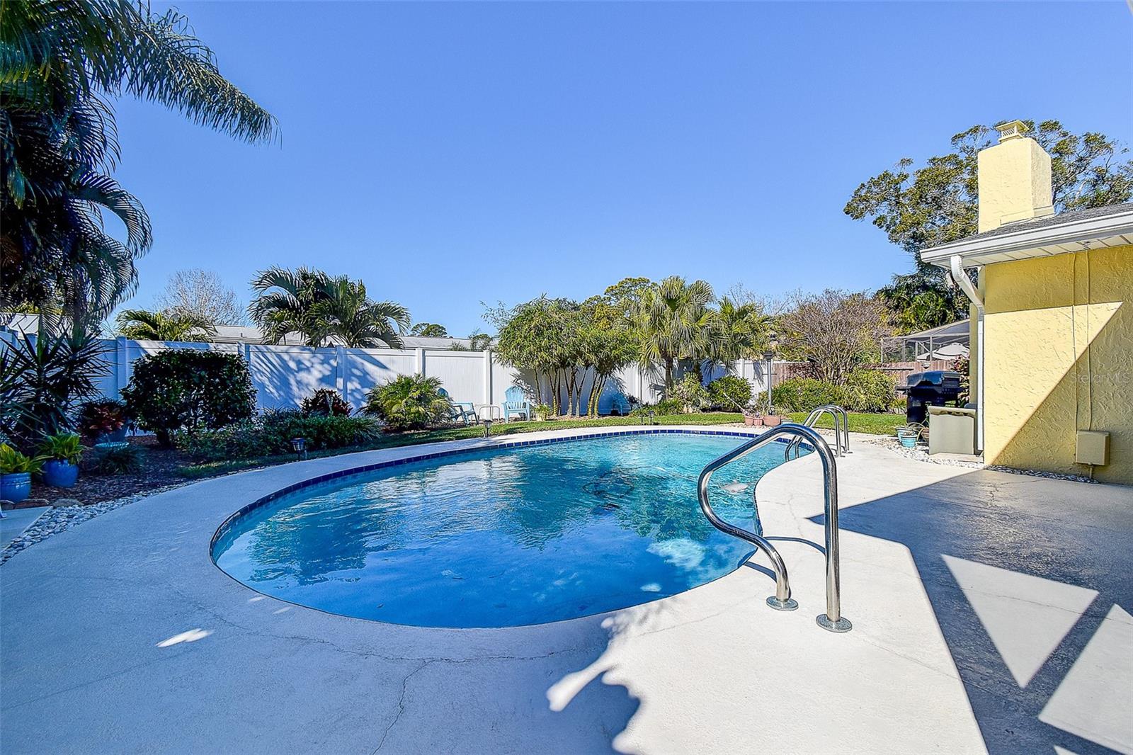 Pool and Backyard