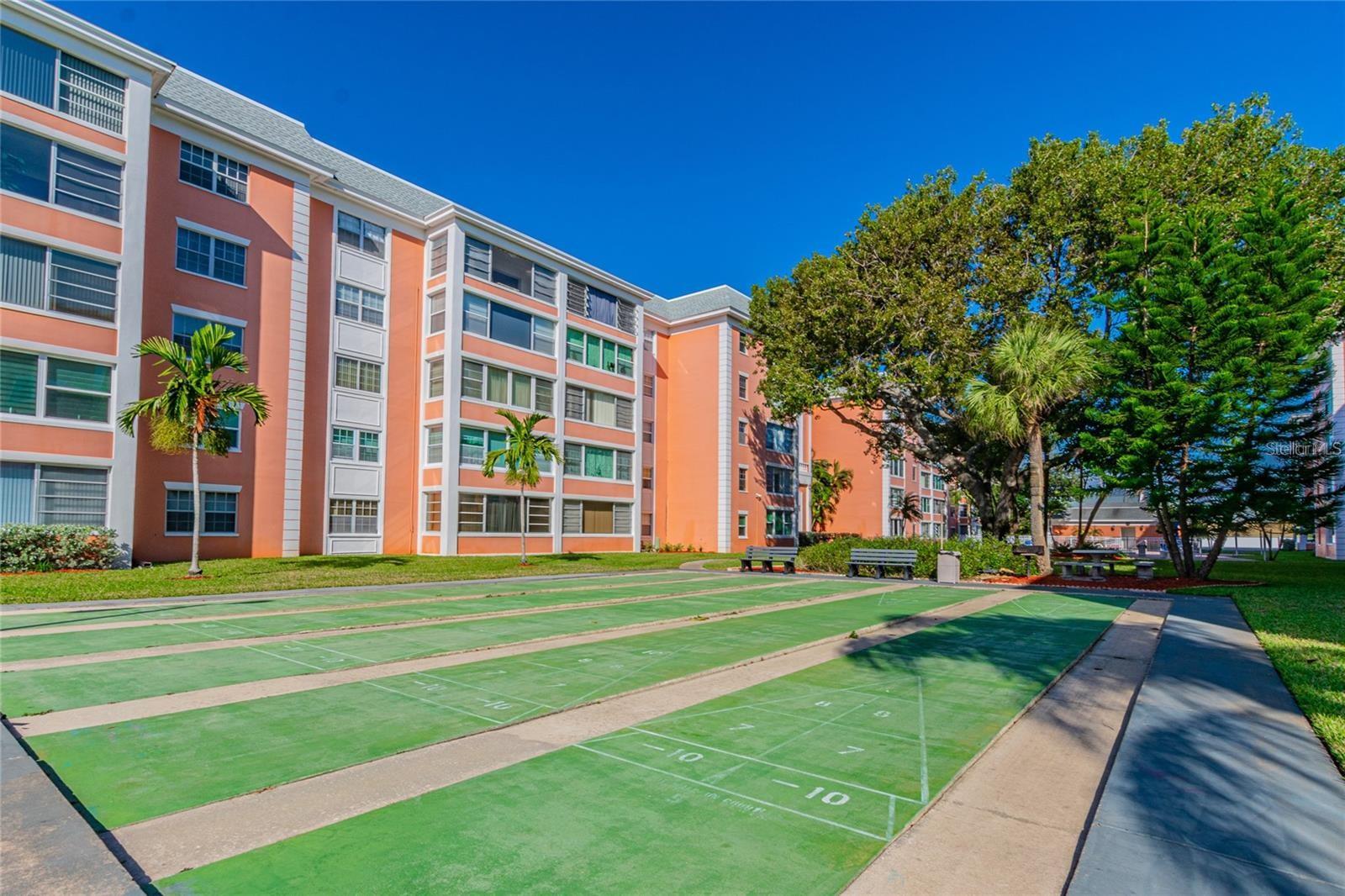 Shuffleboard Court