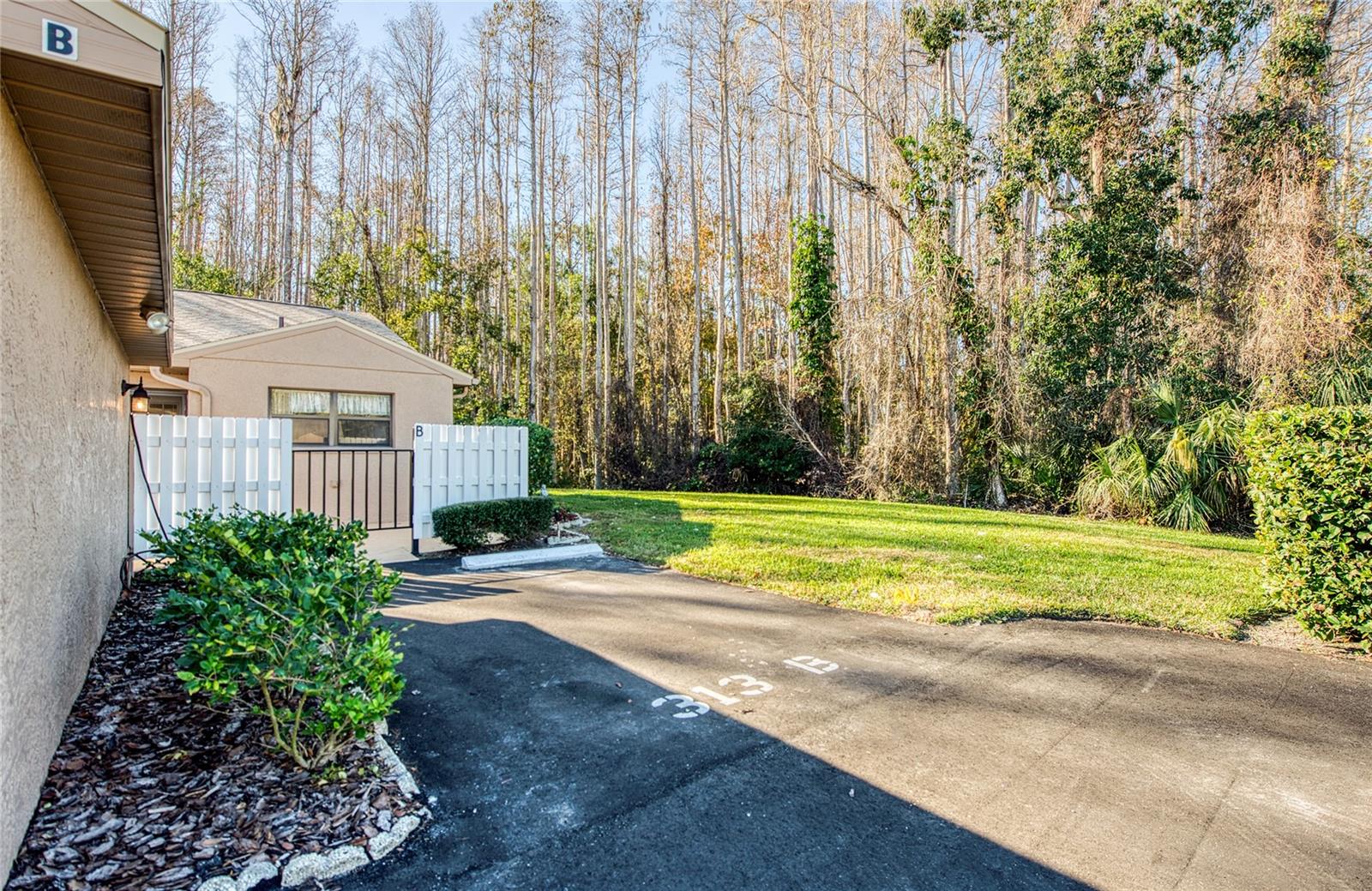 right of the unit wooded area