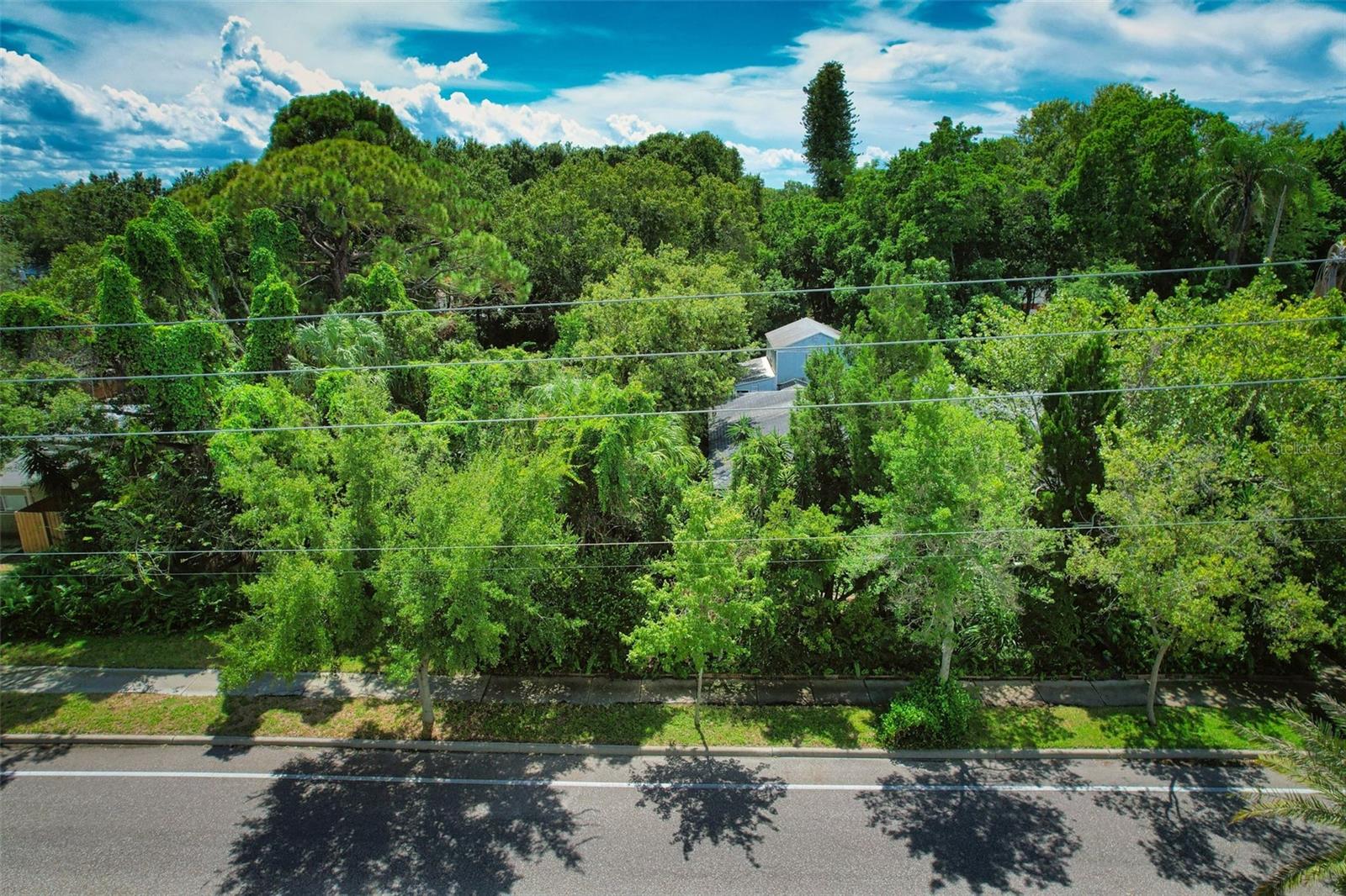 Shaded Sidewalks line the Avenue in front of the property