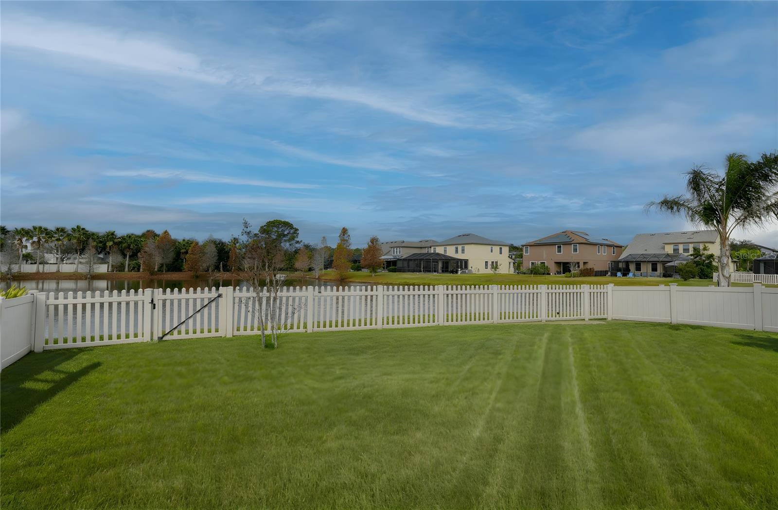 Throw a ball here or just enjoy the view!