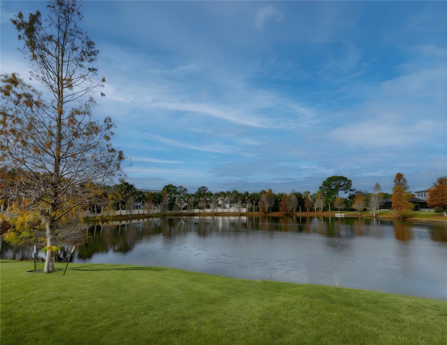 Behind your fenced backyard area