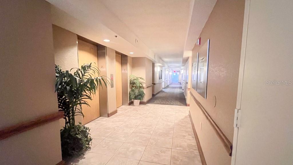 Hallway with Elevators