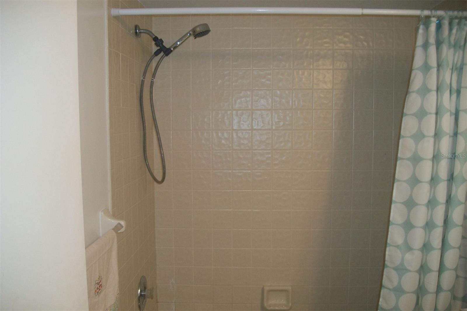 Another view of guest bathroom