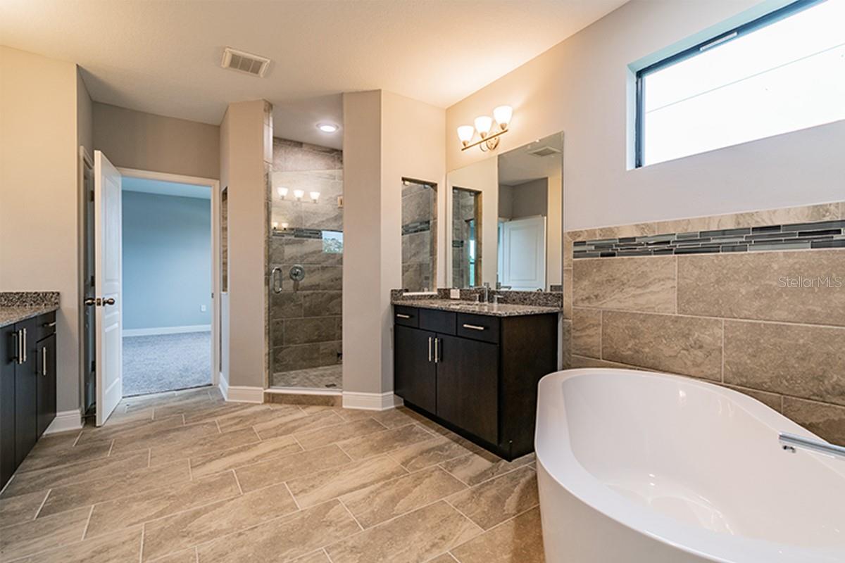 Master bath Model
