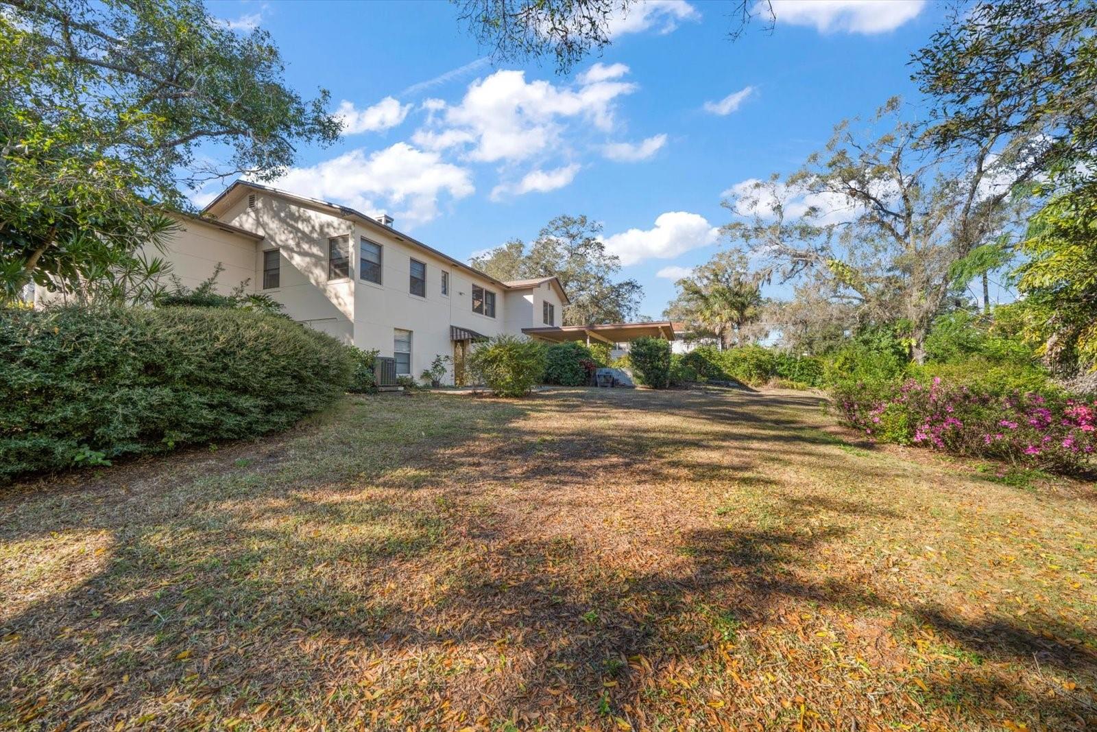 Back Yard - view if back of home