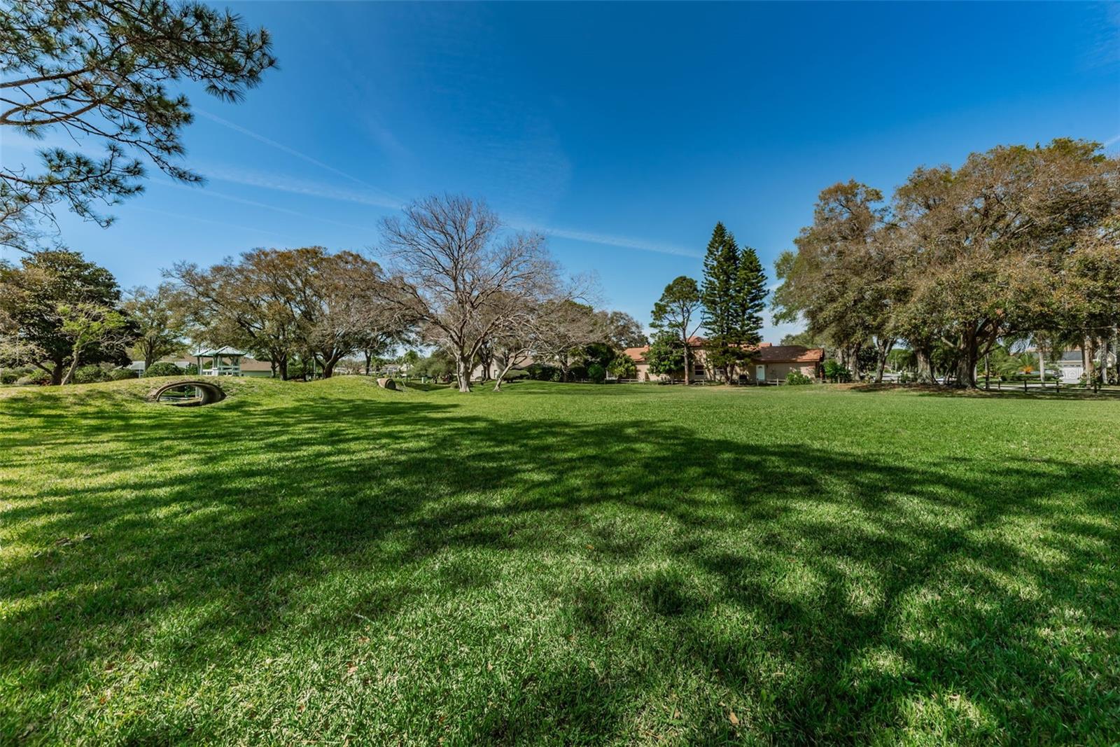 Waterford Crossing Park & playground visible from property
