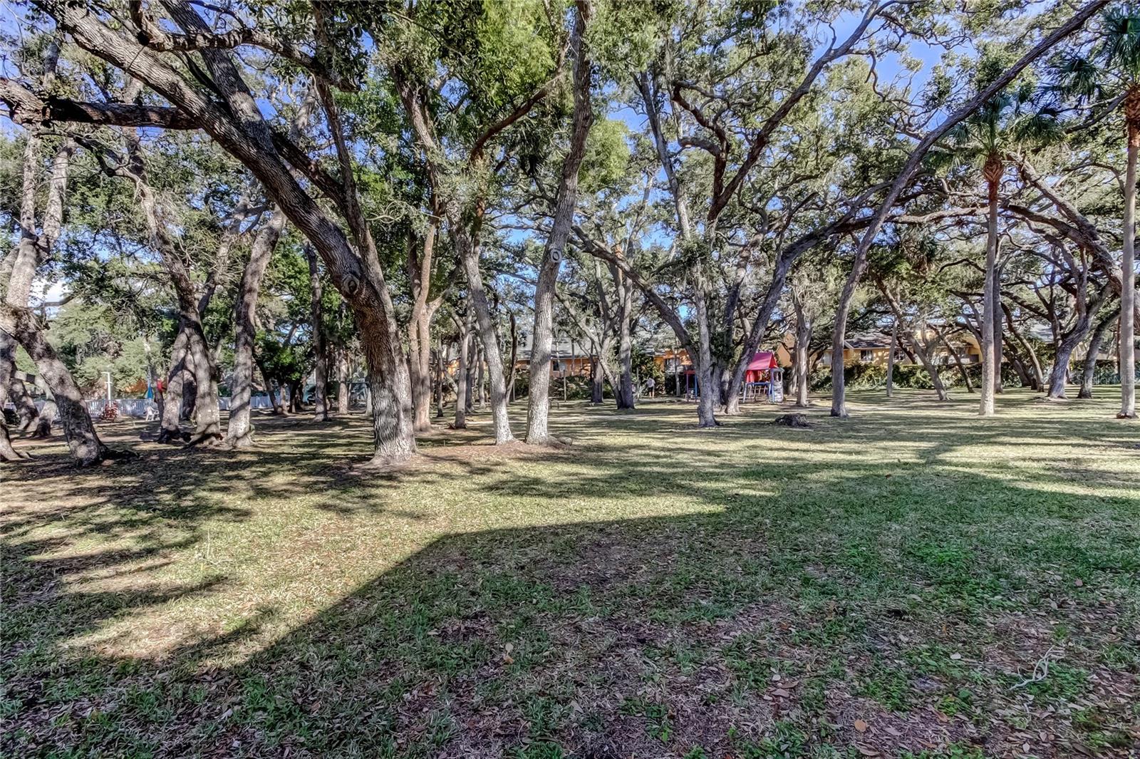 Park area with shuffleboard