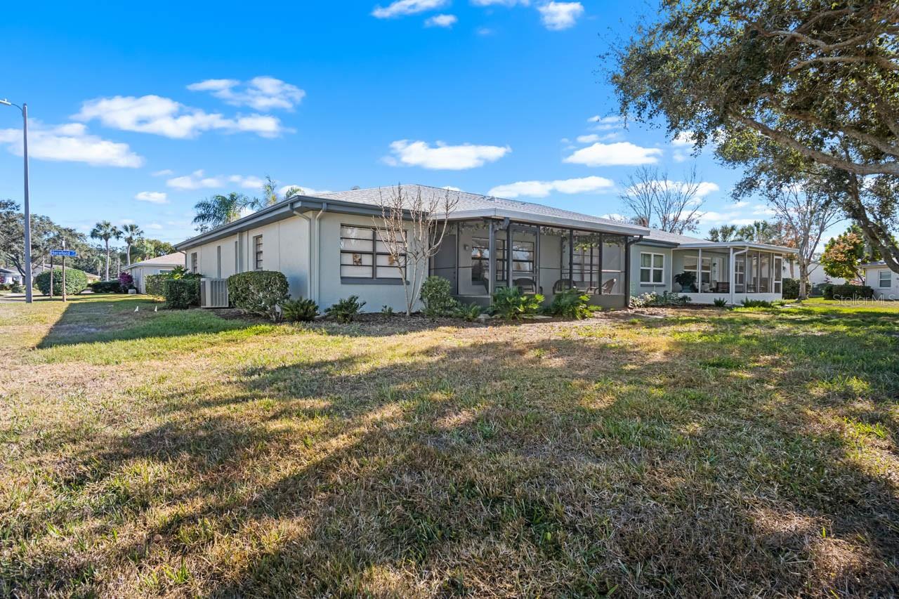 Shady and relaxing back yard