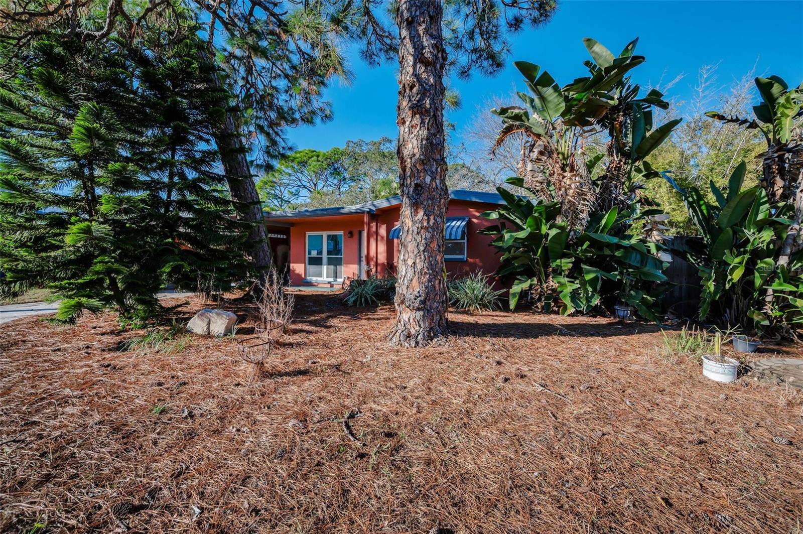 Welcome to 406 Orchid Lane of Ozona!