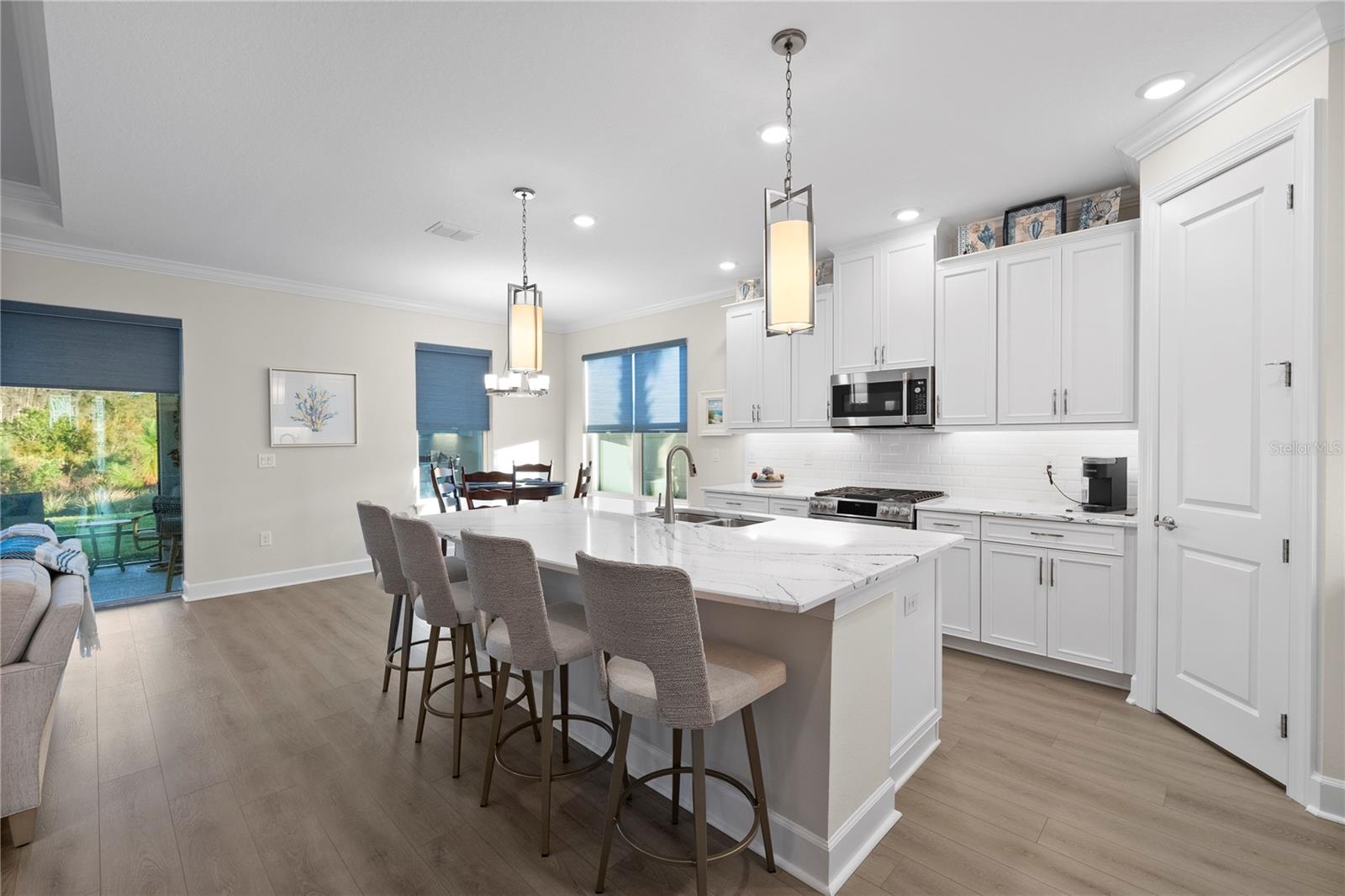 Beautiful Chef's Kitchen