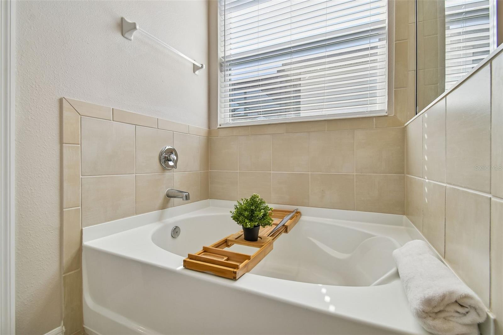 Main Bathroom Tub