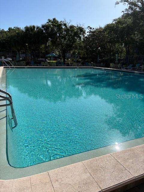 SPARKLING AND LARGE COMMUNITY SWIMMING POOL