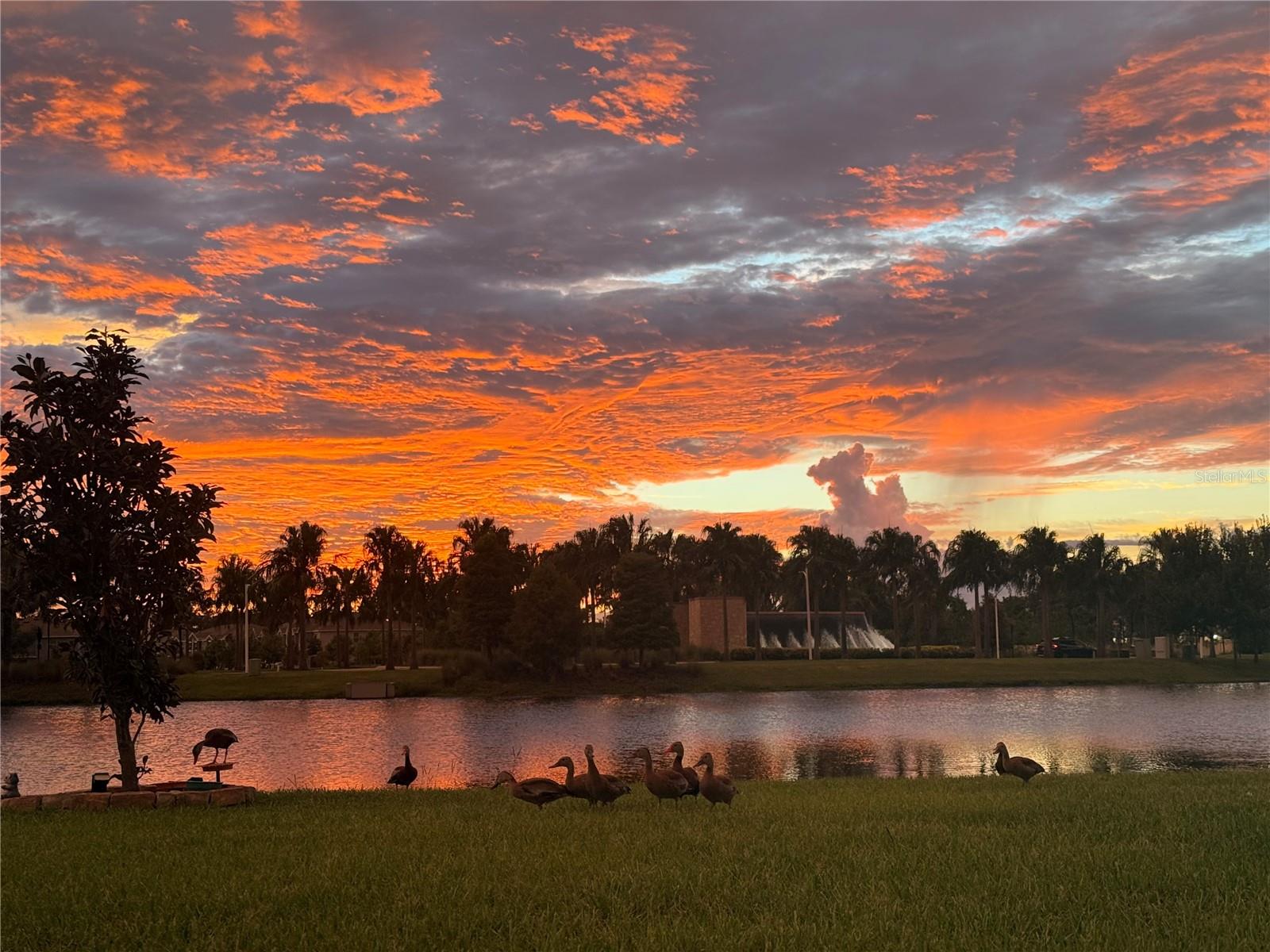Enjoy beautiful sunsets and views of the community fountains