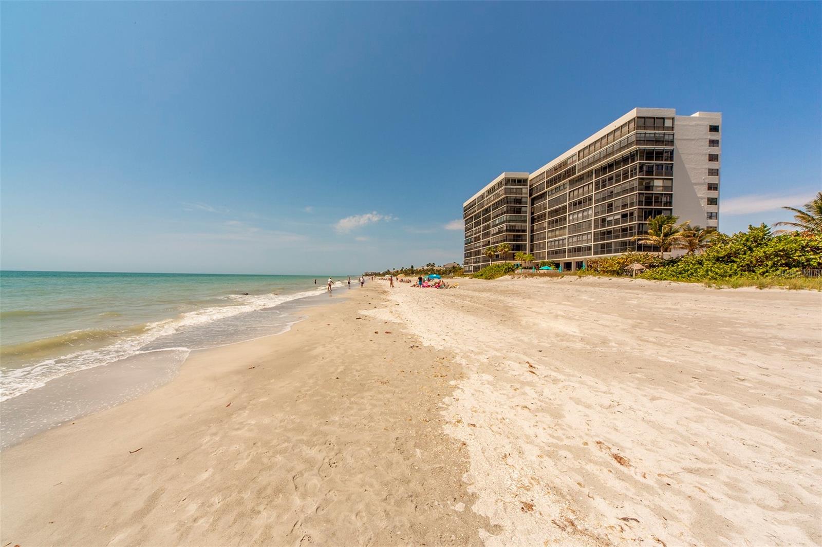 Shores of Madeira Beach Front