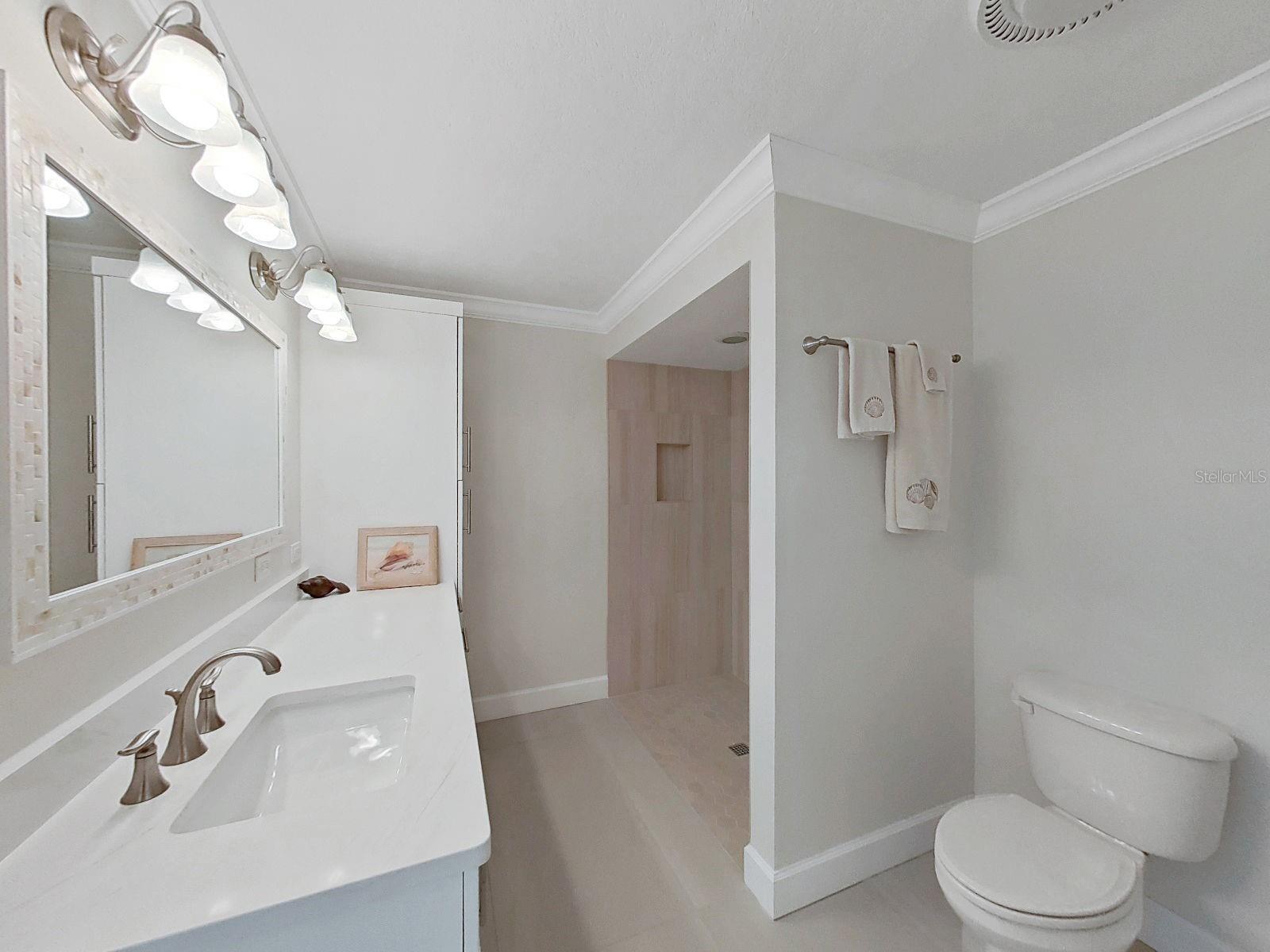 Large vanity with plenty of counter space