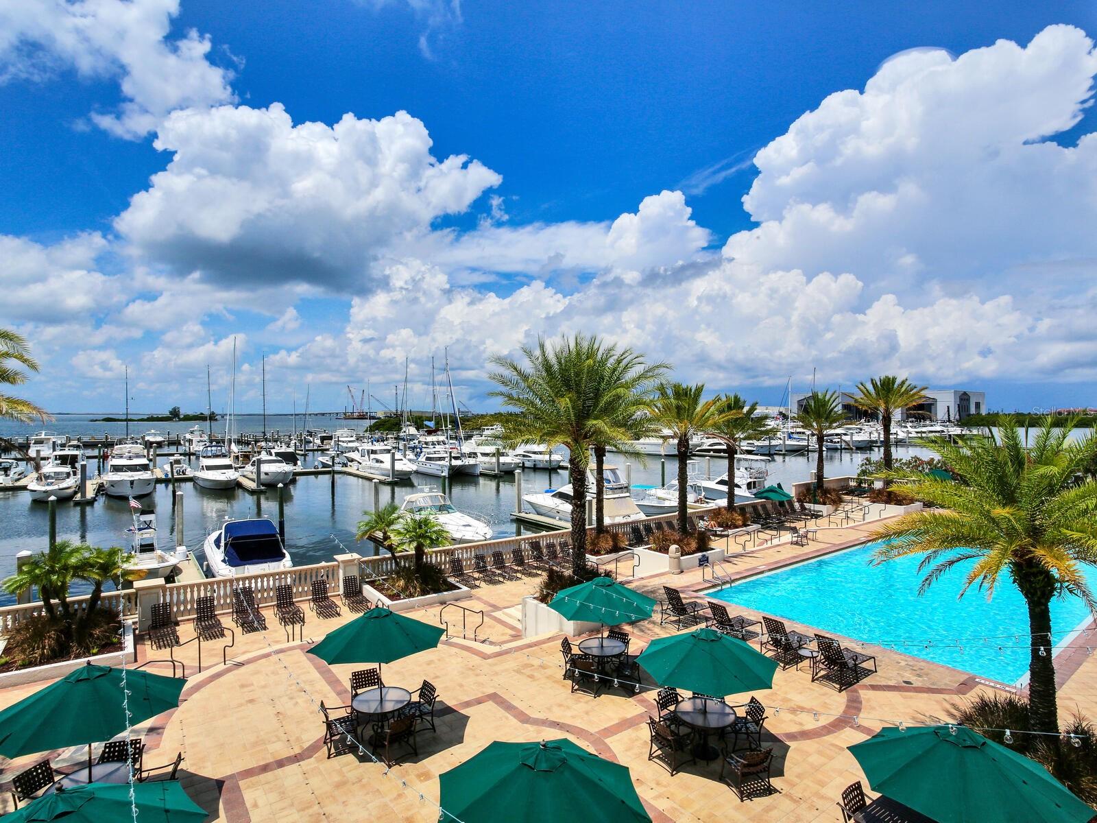 Family pool overlooking marina