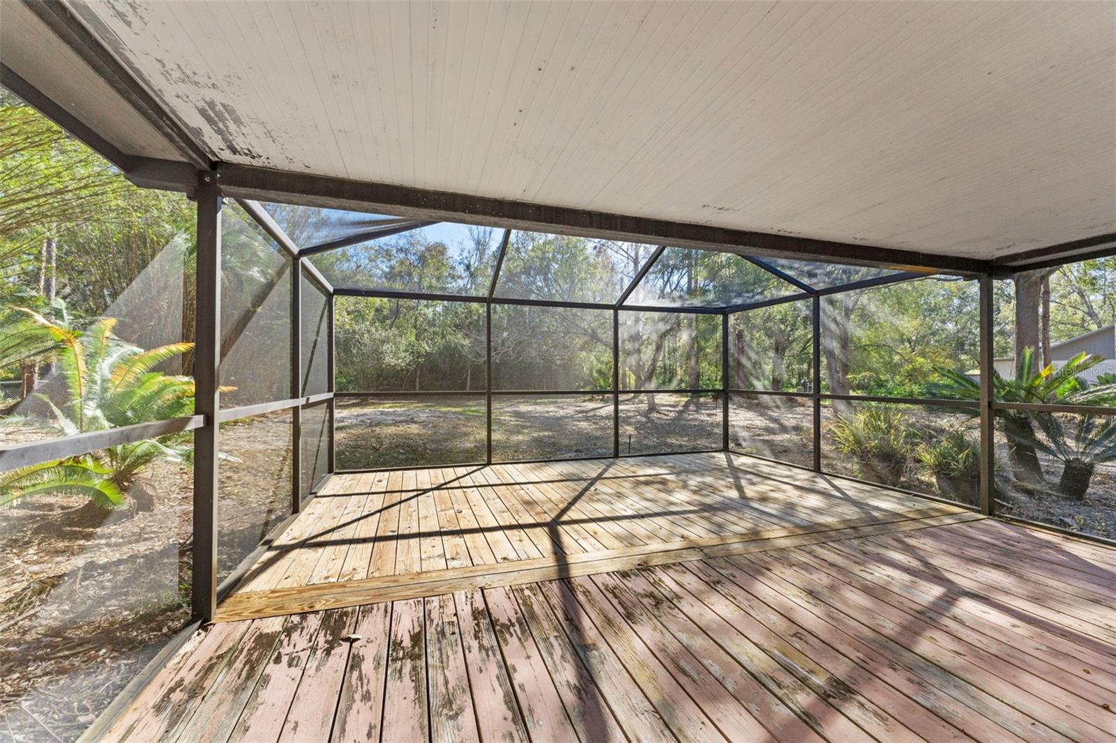 Back Patio and the rest of that almost acre!