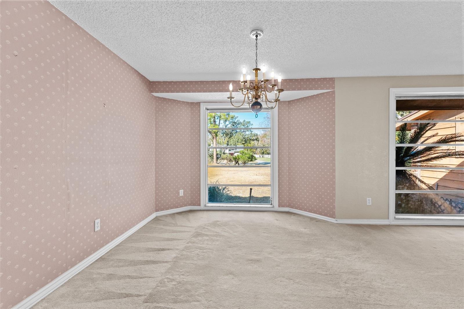 Natural light for dining and living area