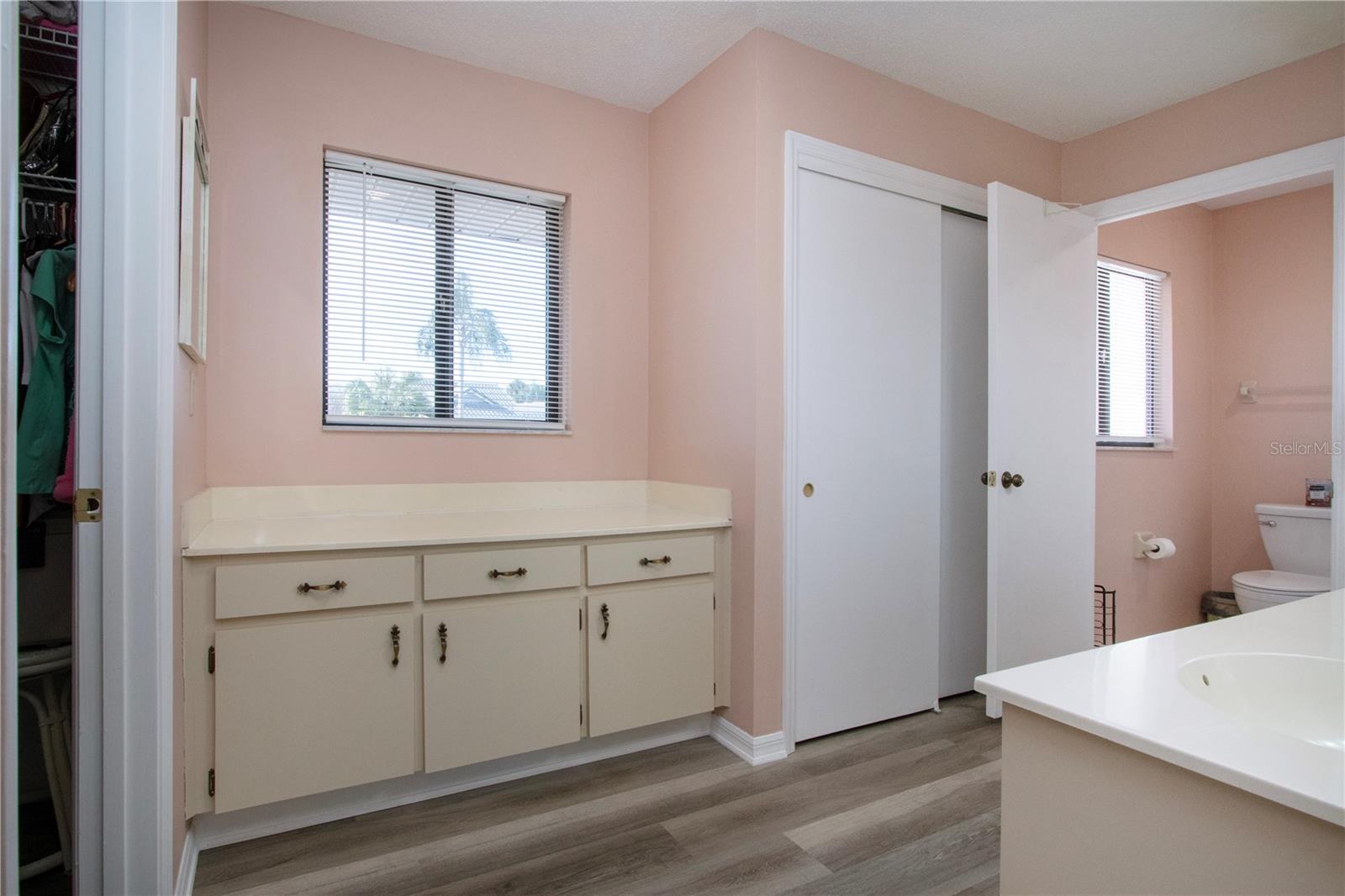 Master bath with counter, cabinet and wall closet