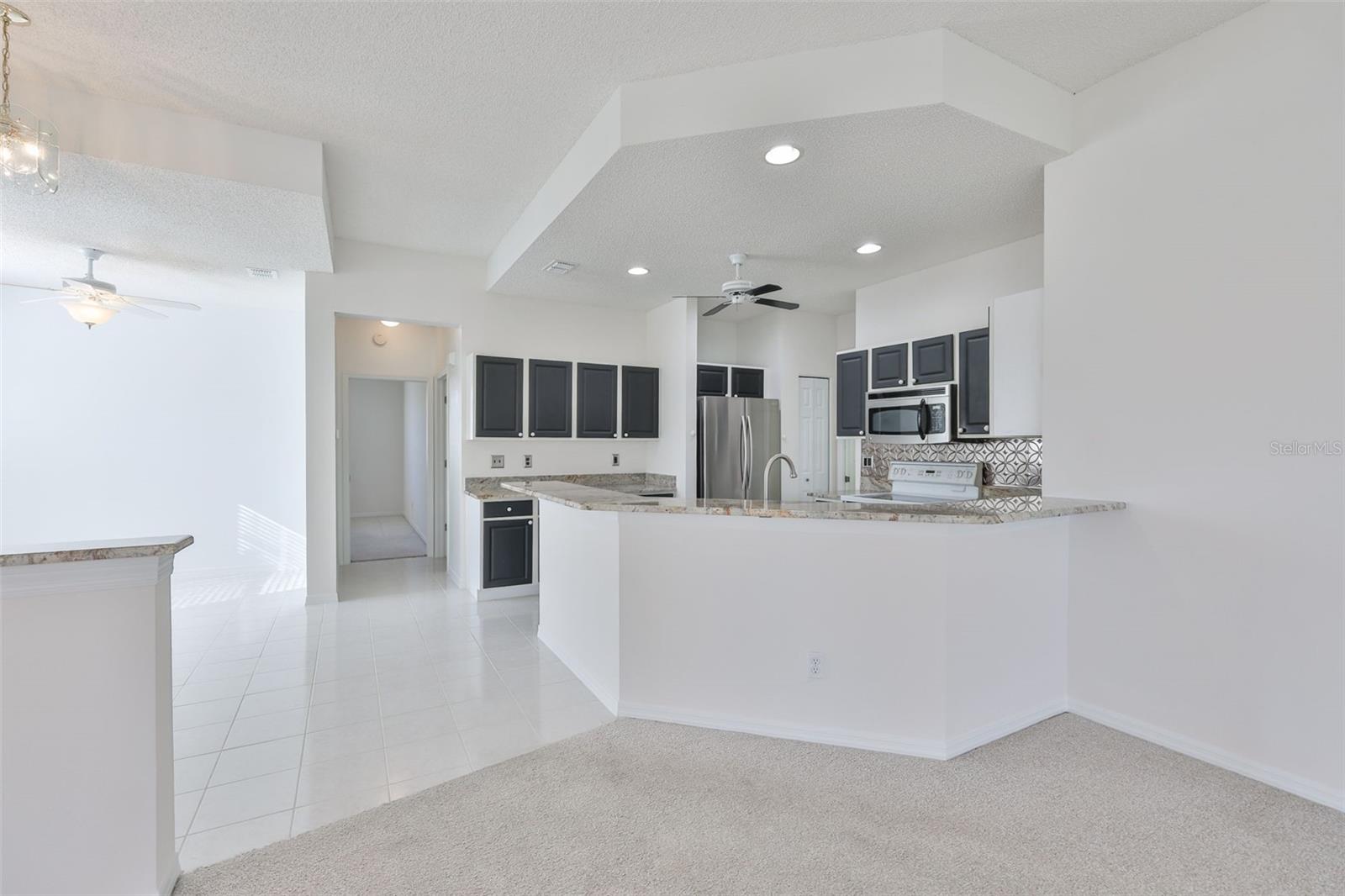 Living Room looking into kitchen