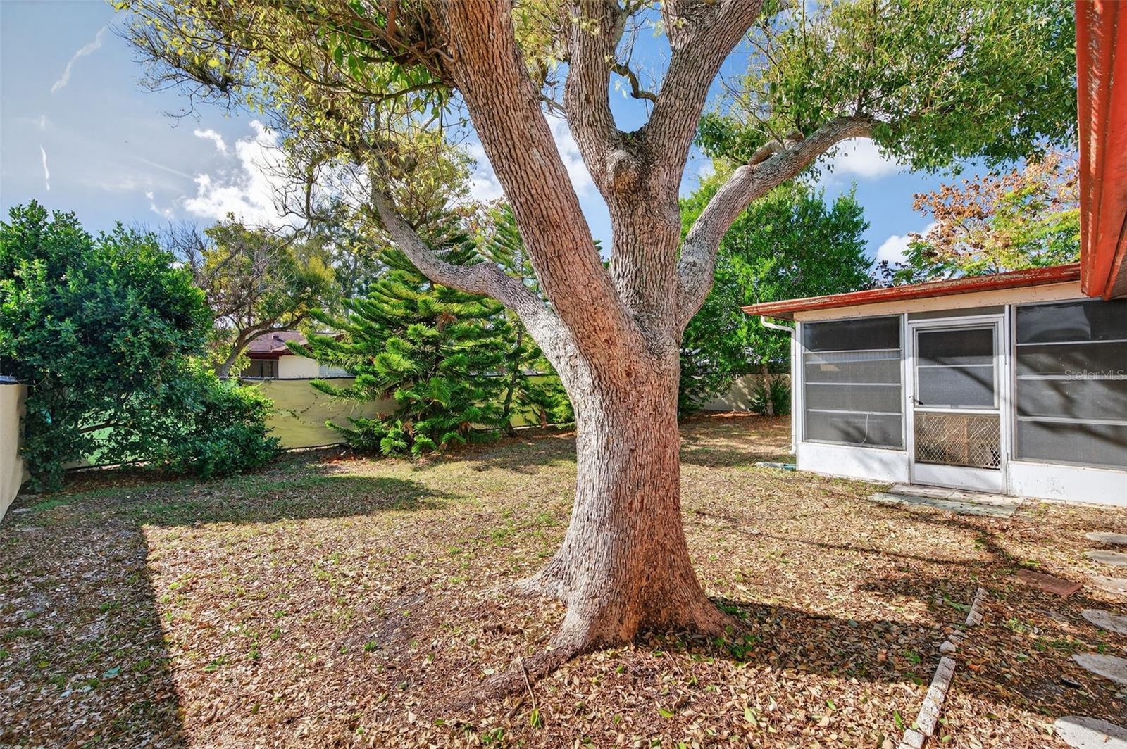Beautiful private fully fenced back yard