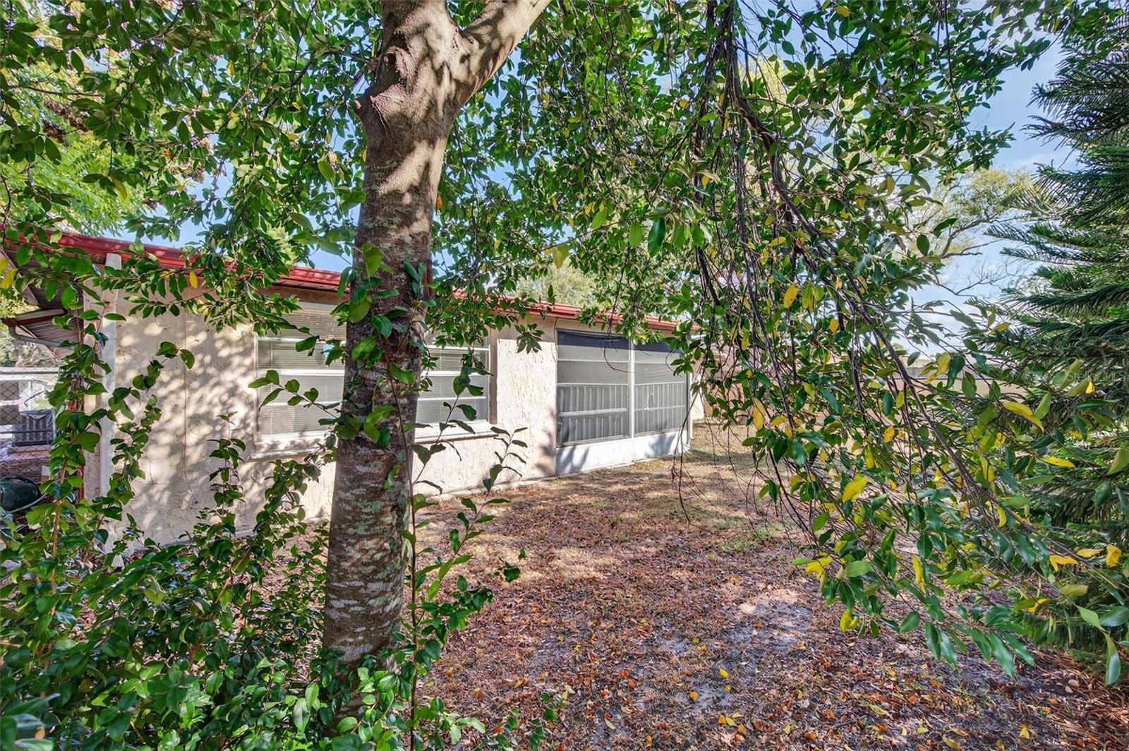 Pleasng and private back yard