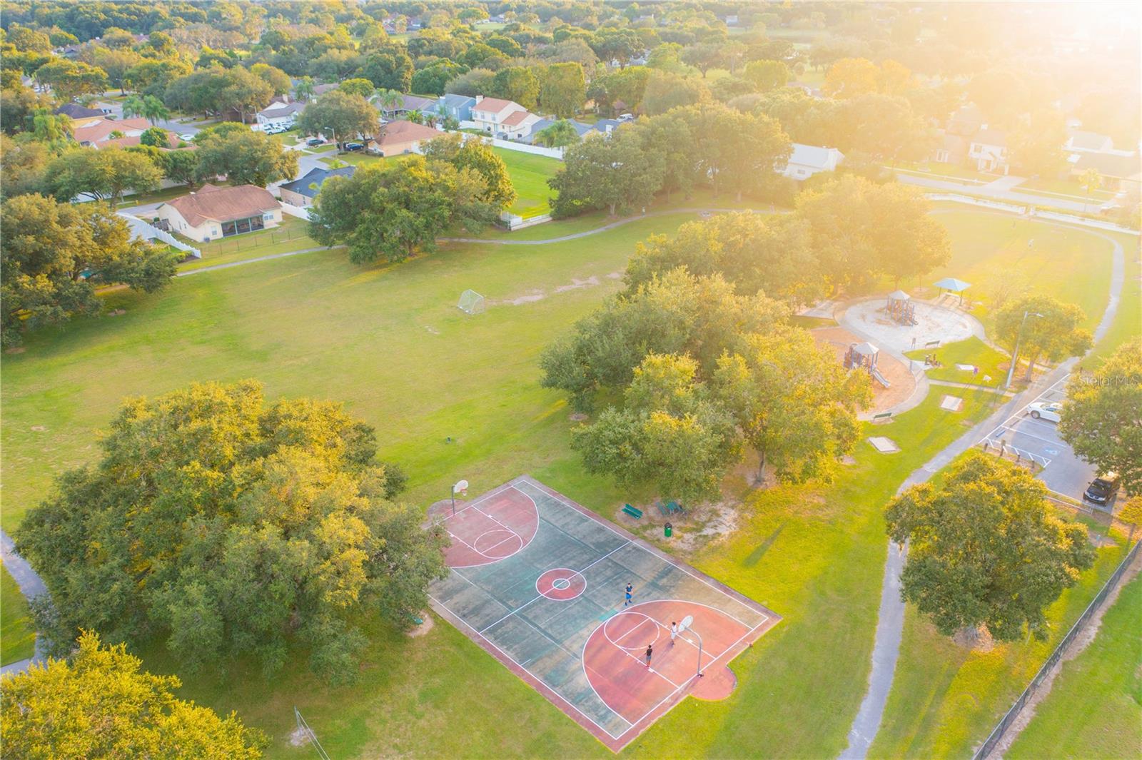 Basketballs at Buckhorn park