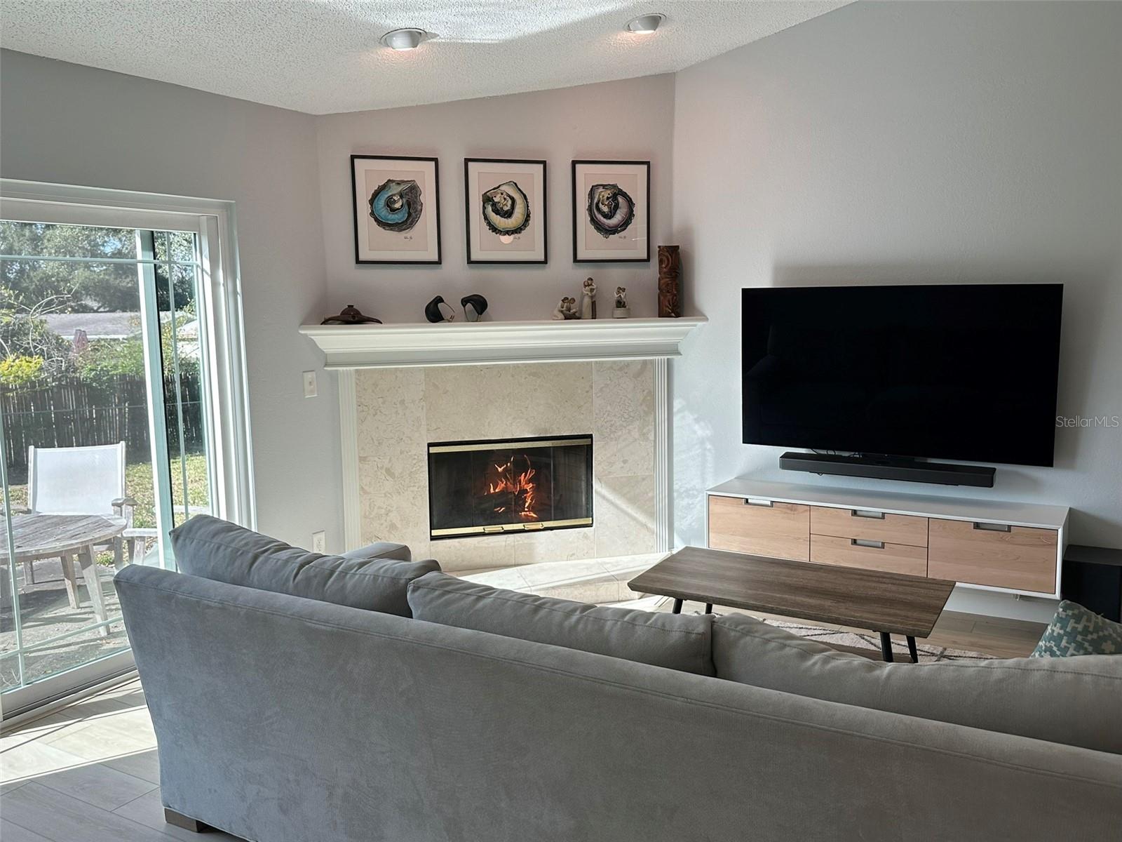 Living Room TV Area