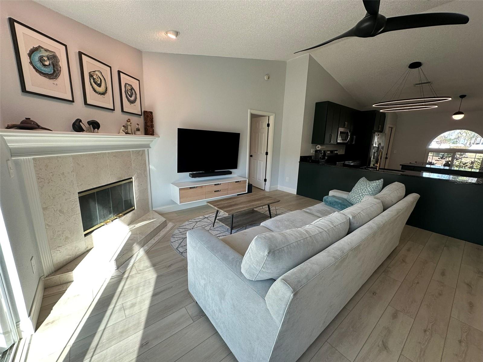 Living, Fireplace, TC Cabinet System