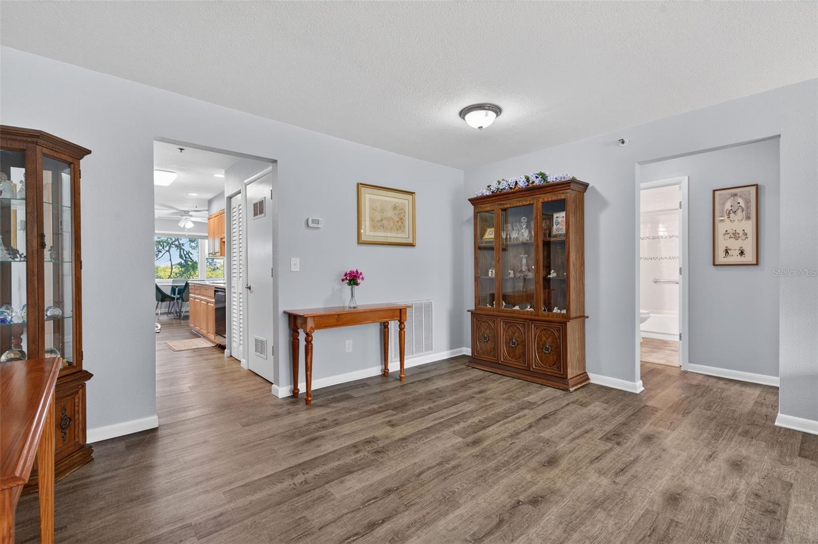 Living Room to Kitchen and Hallway